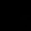 lutpi2770