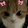 olivia.afteni