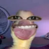 luwizgab
