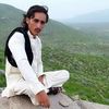hamid.saqi