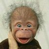 michal.mor8