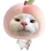 nics_dote