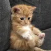doibuon.com003