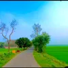 md.enamul6561
