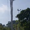 otai67g