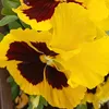 abdulrassk.al.hos