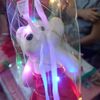 ponytwn7253
