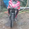 liu.liu430