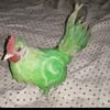 ayoowww.00