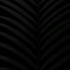 ._stiv34n._