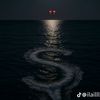 saida.benloulou