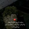 user7911307273021