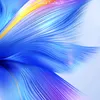 lylnjfy12