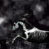 equestrian_edits211