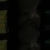tyee_ng