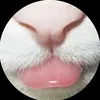 pacdesiik