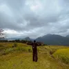 zhuyblack