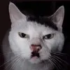 kittler110