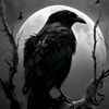 black_demon444