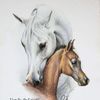 salehfaris89