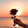 mdemranahmed625