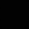 iis_969