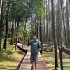sijagoo31