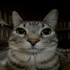 maqrezftbl_2
