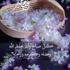 adnan.koujan11
