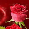user5855385498671