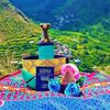 user662019561511