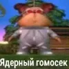 user4969069080799