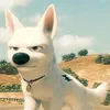 fellipee74