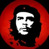 che1134