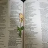 medita.cristo