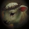 siah.e5