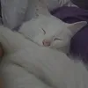 io.lea.exe
