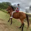 willhy29