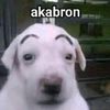 angeel_ch7