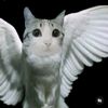 leo_emperador_de_limon