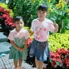 hong.le2322