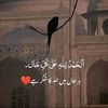 ladlequeen111