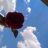 user5621277321961