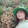 hoduyen.78