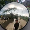 mjiscrzy