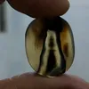 wassemapd205