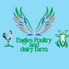 Eagles Poultry Farm