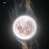 zeinab_helbawi_7