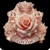 dreidrei.tim
