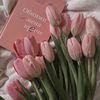 _strawbey_jee17